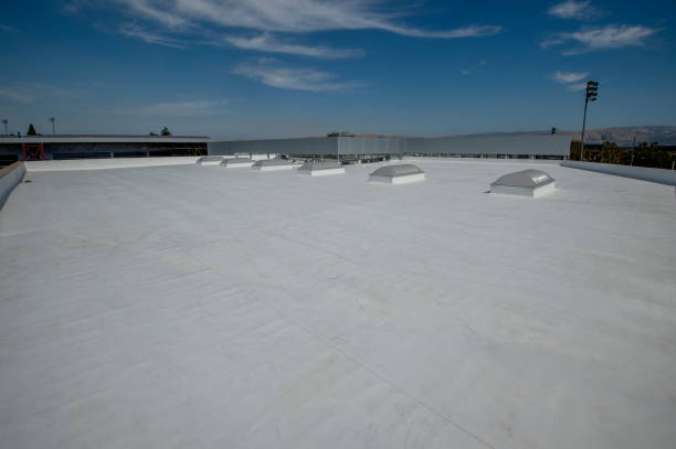 Best Roof Coating and Sealing  in Maywood, NJ