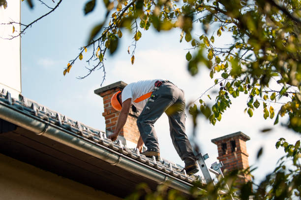 Best Metal Roofing Installation  in Maywood, NJ